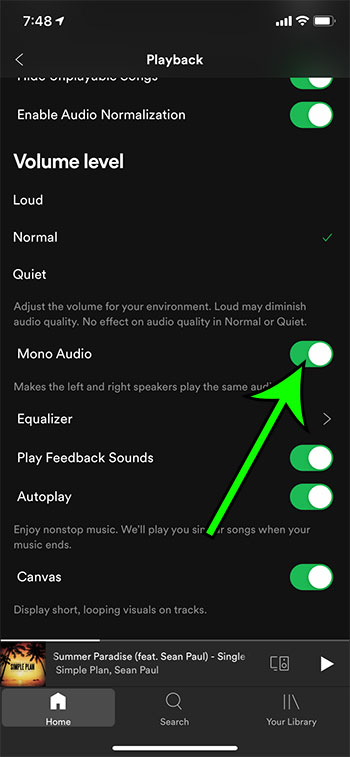 How to Switch to Mono Audio in Spotify on an iPhone - Support Your Tech